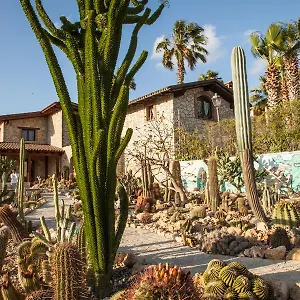 Garden Cactus Séjour à la campagne Villaggio Mosè